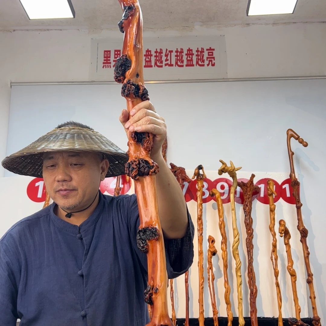 待***宾黑果木其他黑果木746
