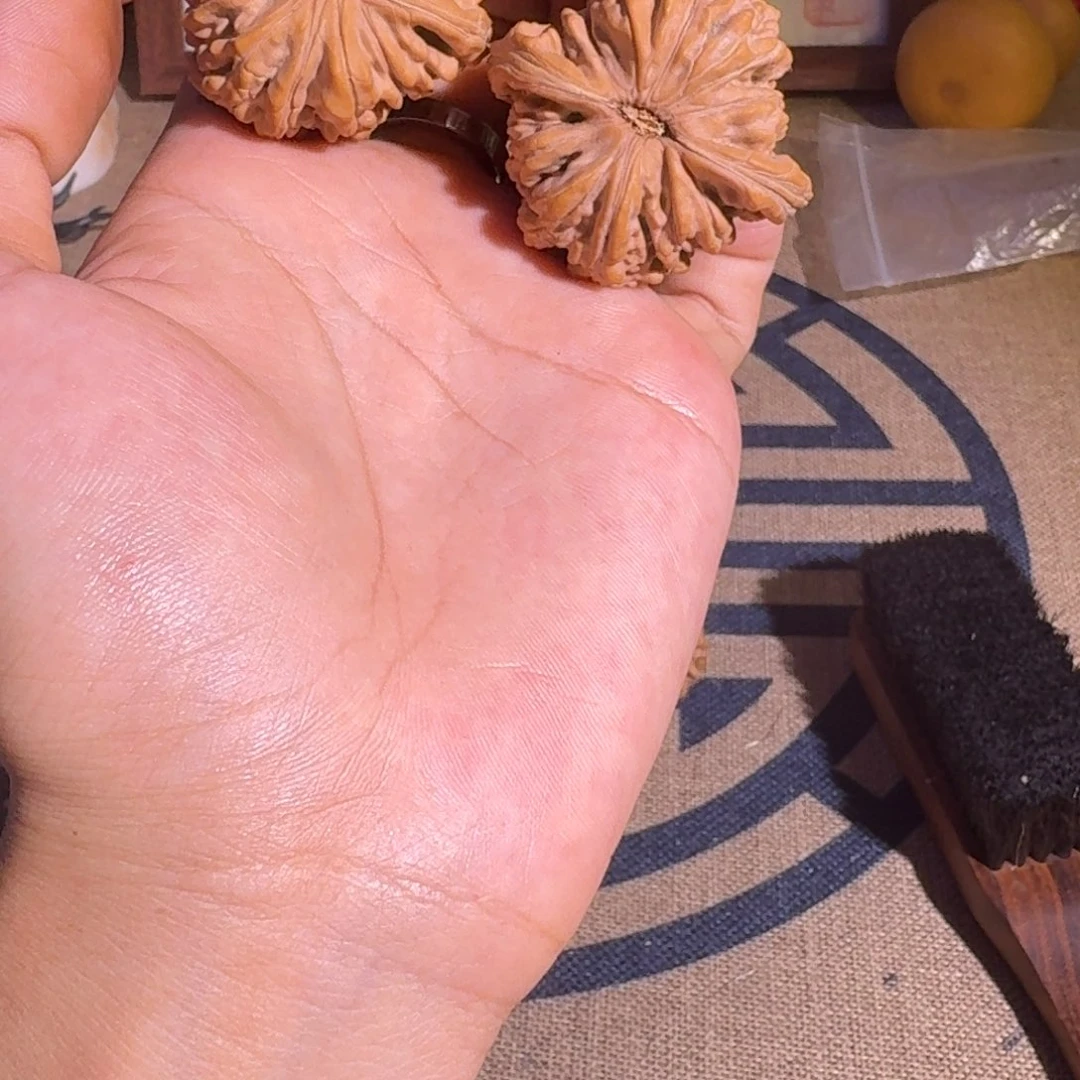 美***晨哈哈哈哈哈哈哈哈哈哈哈