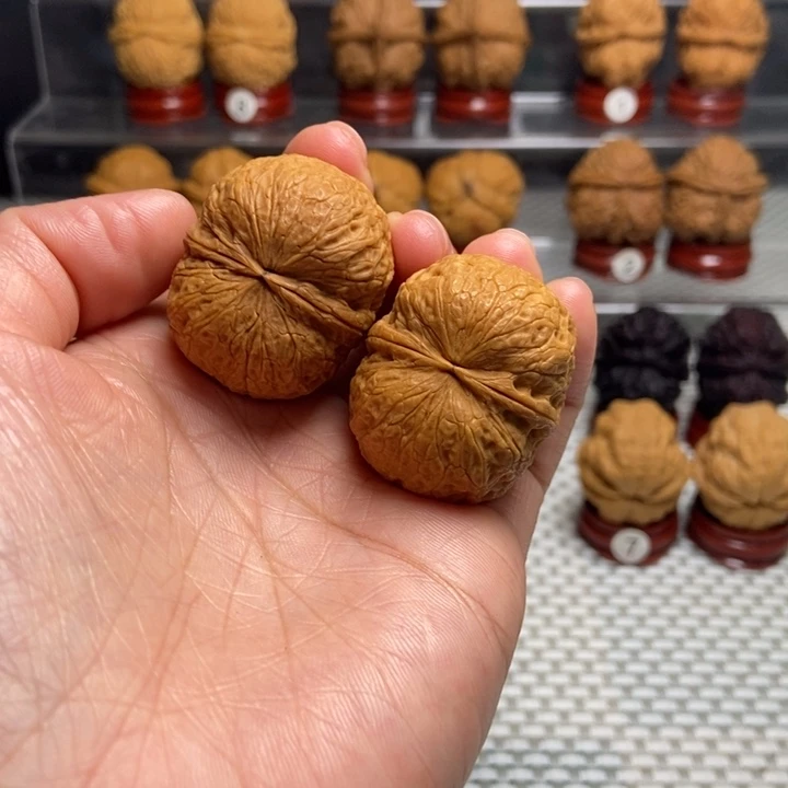 文玩核桃把件15鹦鹉元宝