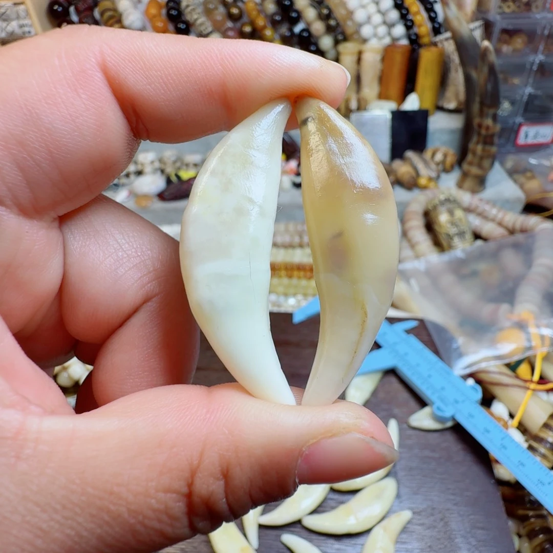 其他驼骨❄️****0000000000567