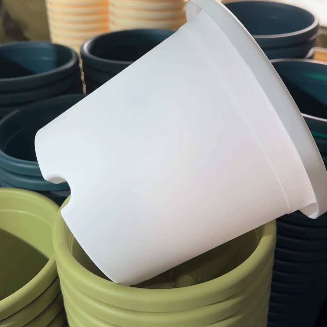 树脂四季2#无拖纯白12个