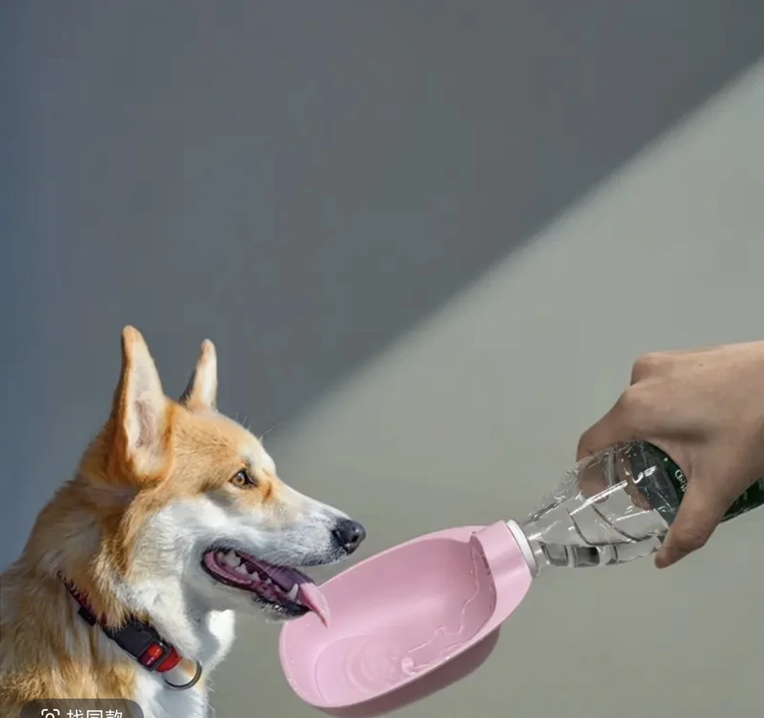 狗水壶饮水器狗狗宠物随行杯小狗户外饮水出门喂水便携式喝水器