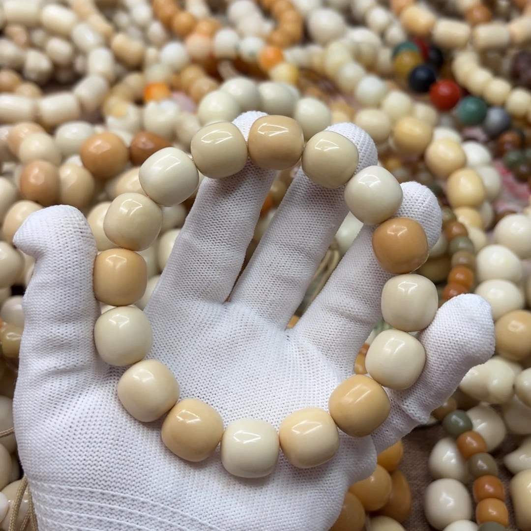 菩提根/象牙果吊坠15干磨牙果多宝桶579