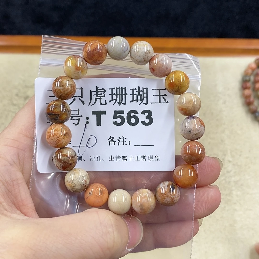 硅化珊瑚（珊瑚玉）1未镶嵌小*