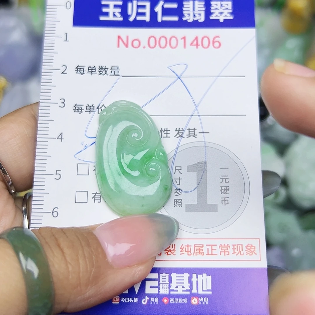 翡翠未镶嵌颈饰111