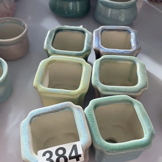 多肉植物花盆花盆