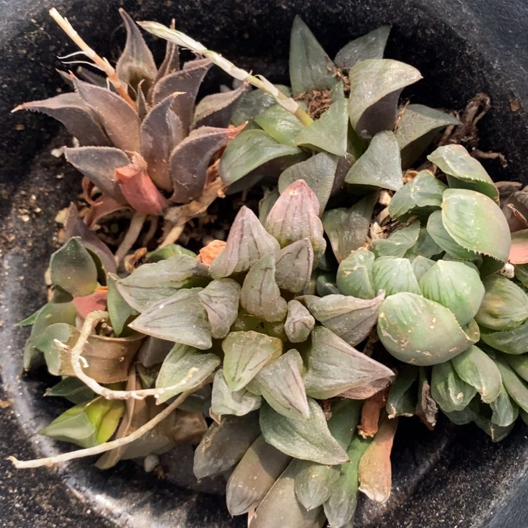 1025 一组福利。