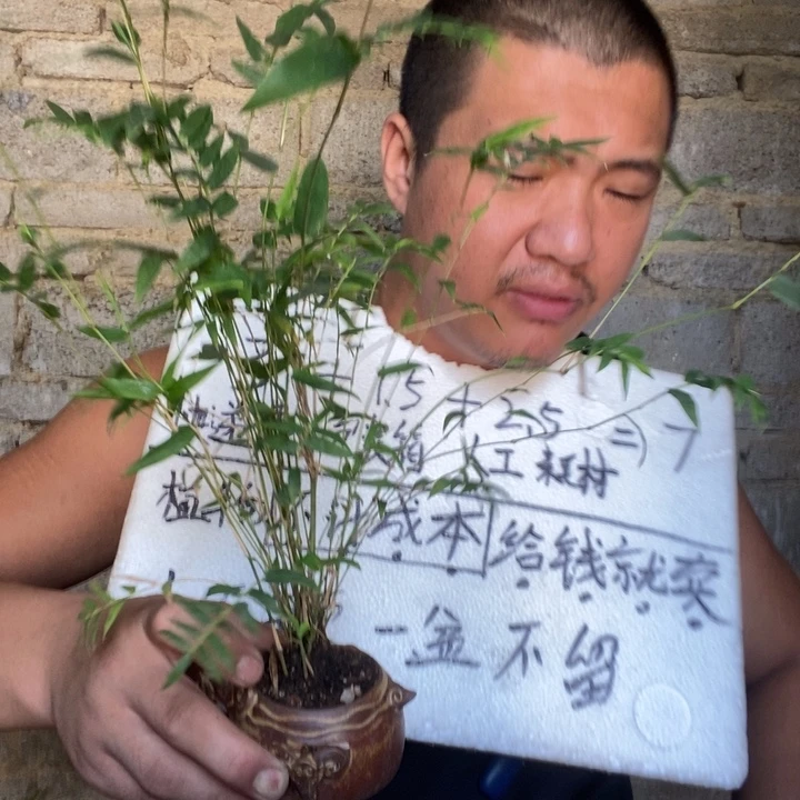 退款拉黑一物一拍58