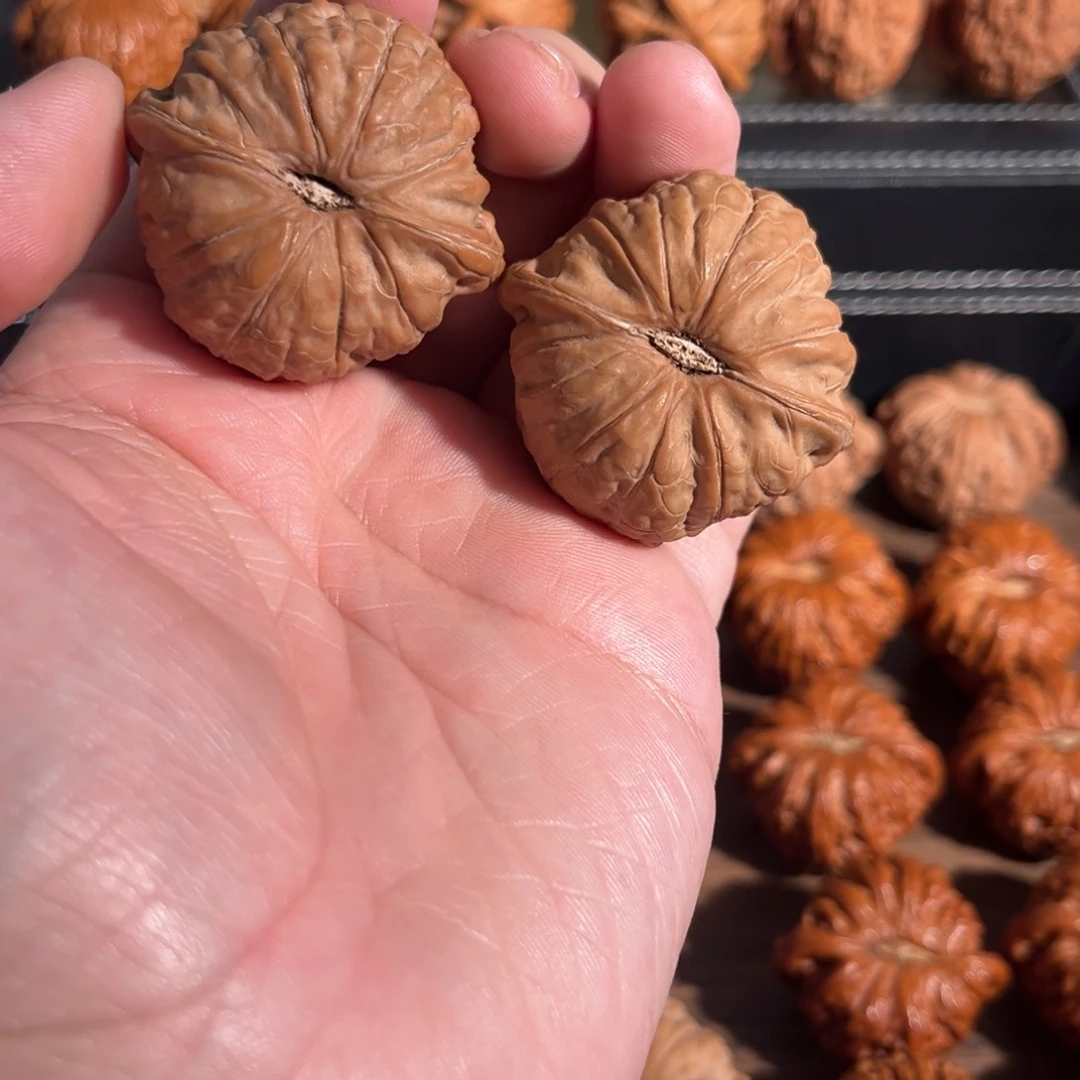 手串/手链核桃43全品毕业南瓜墩