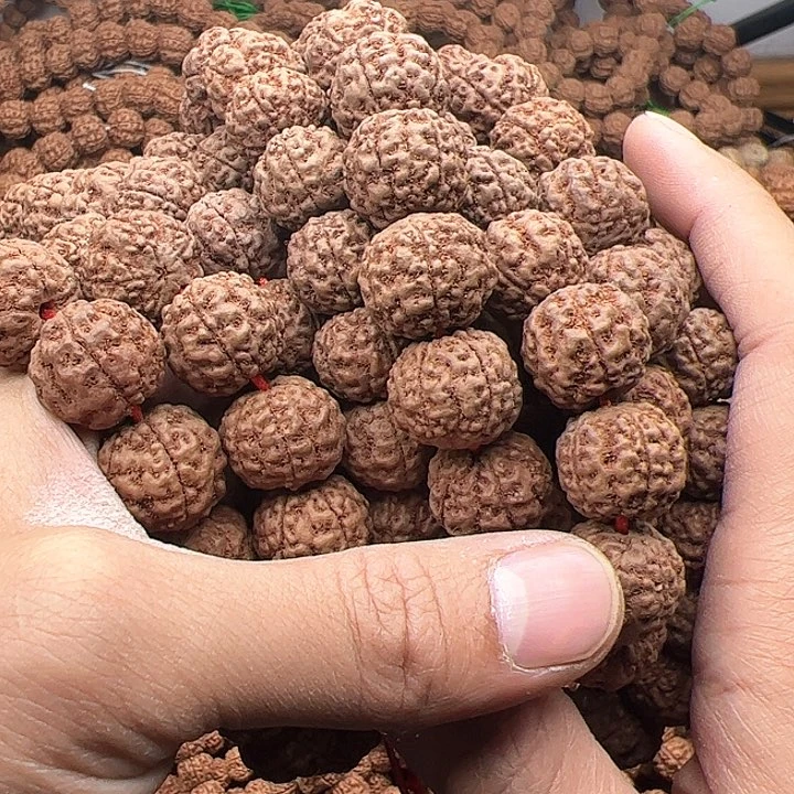 金刚菩提手串疯***啊跳跳龙