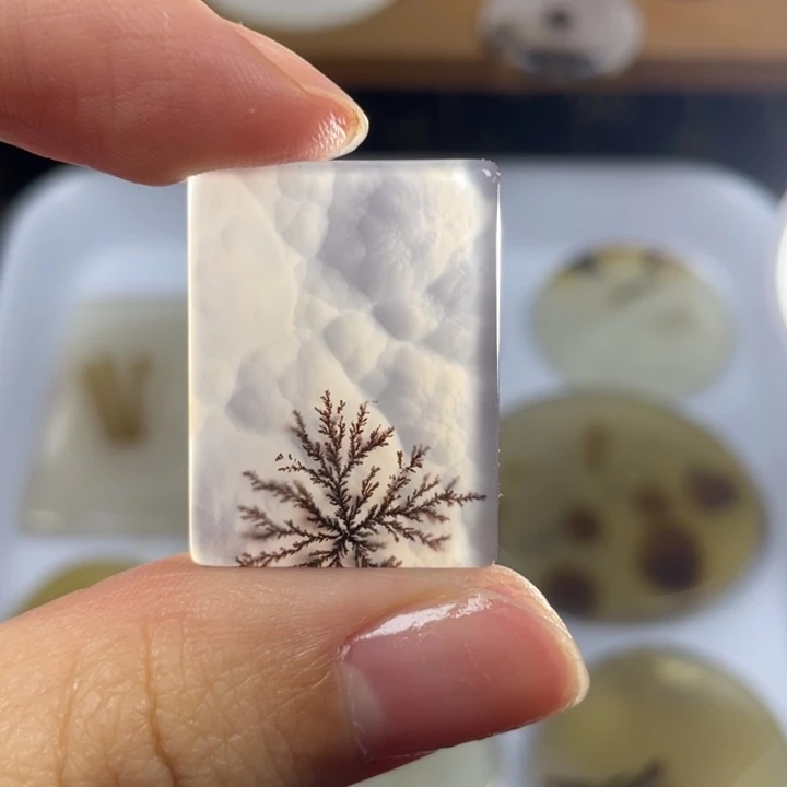 玛瑙/玉髓未镶嵌玛瑙象形福利款