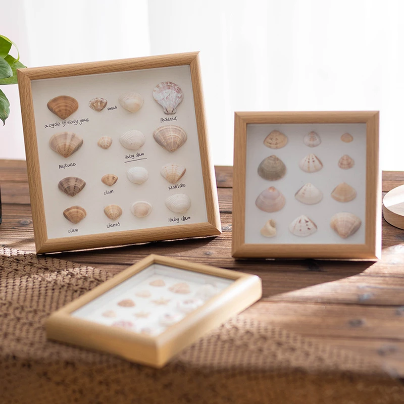 中空6寸相框木质摆台78寸10寸A4立体挂墙画框实木创意贝壳标本框
