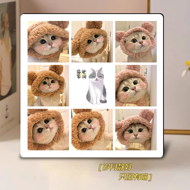 创意木质宠物纪念相框定制照片摆台可藏毛发