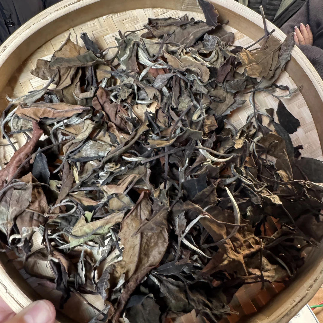 【73号】2-17  2024年 南华白茶 散茶  500g