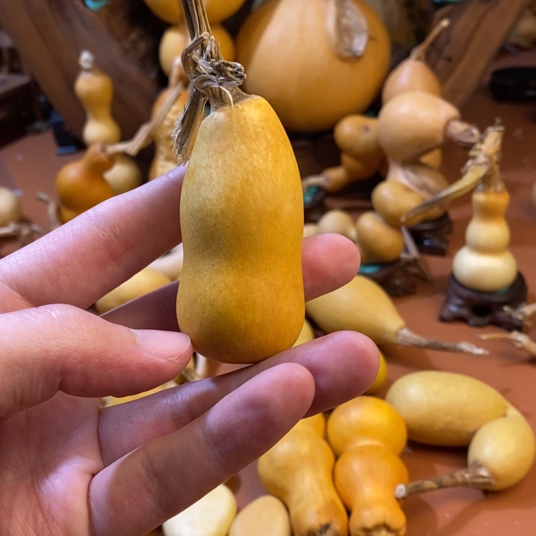 芳***娘教练教练咯教练经理