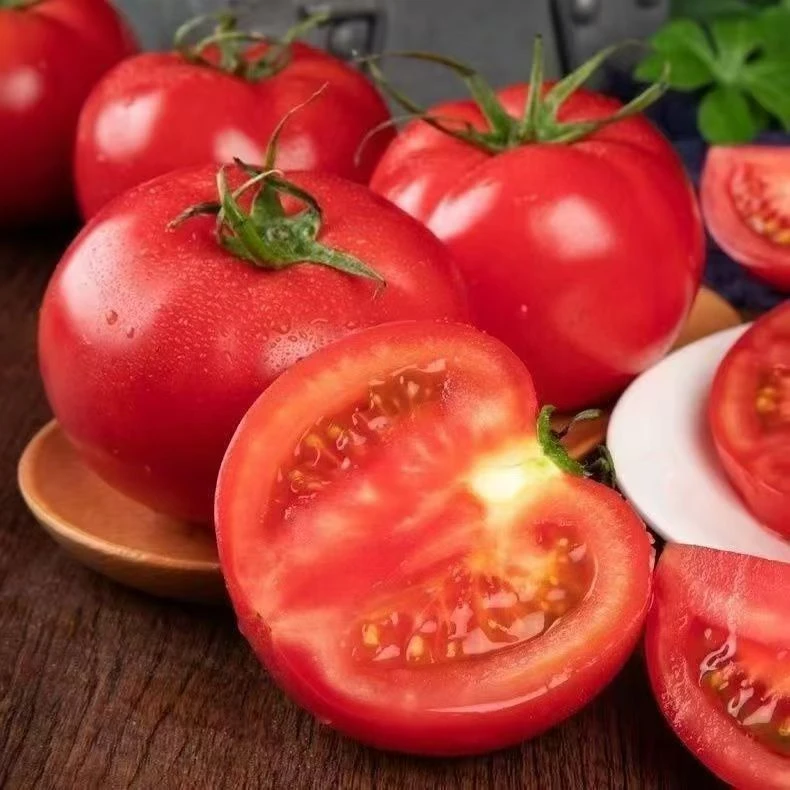 沙瓤西红柿自然熟番茄酸甜多汁产地直销应季生鲜水果蔬菜新鲜采摘