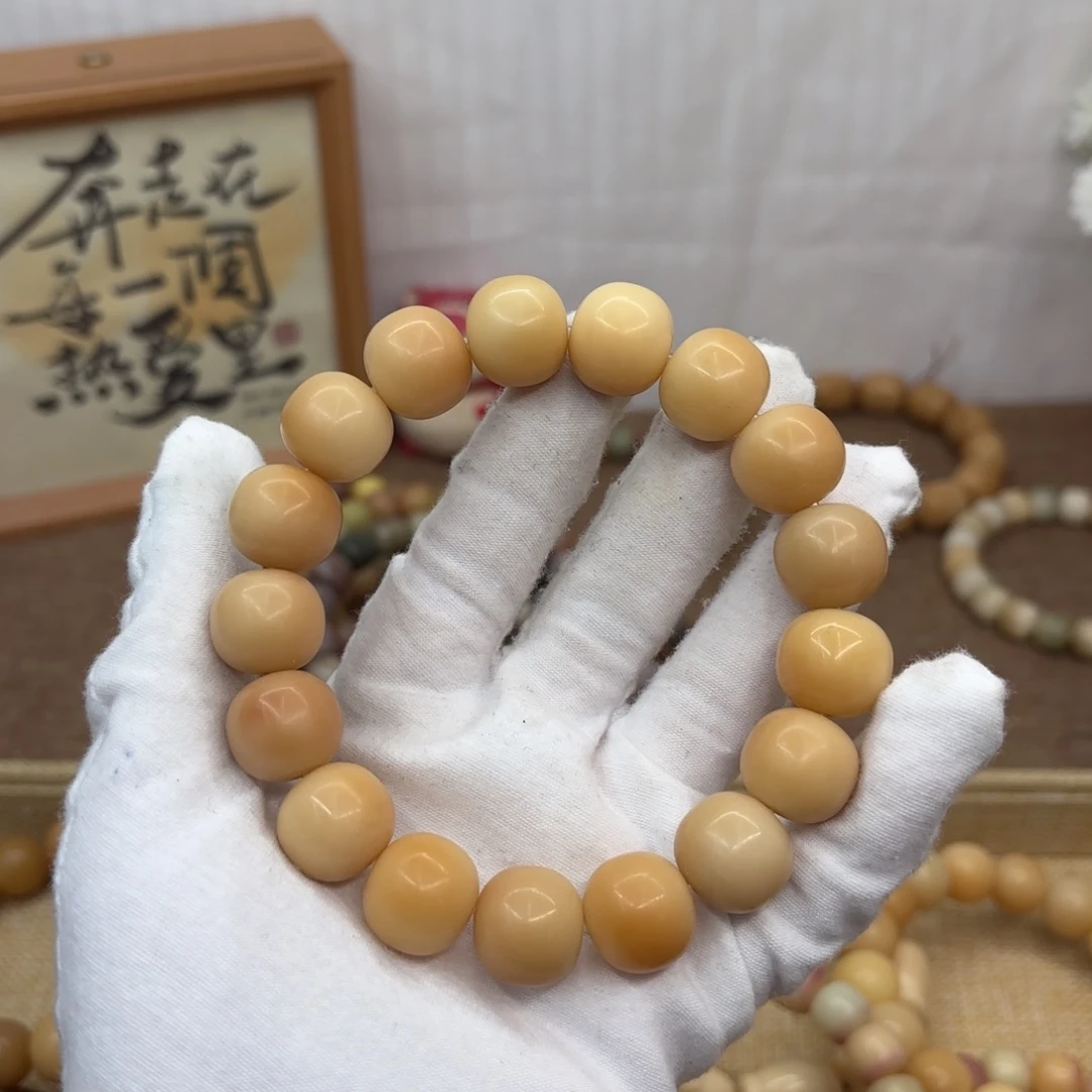 吊坠菩提根/象牙果16干磨瑕疵落地果899