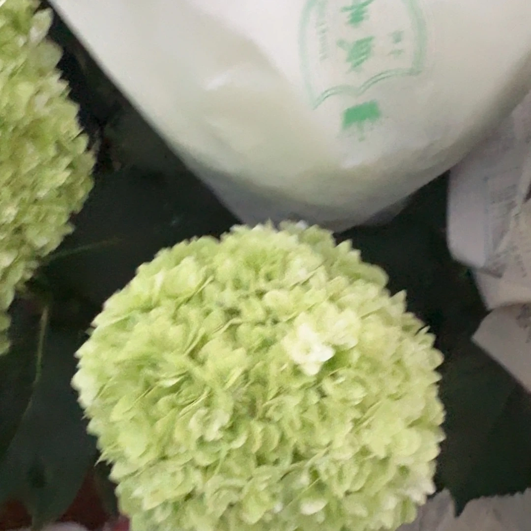 大部分花苞少量开放47