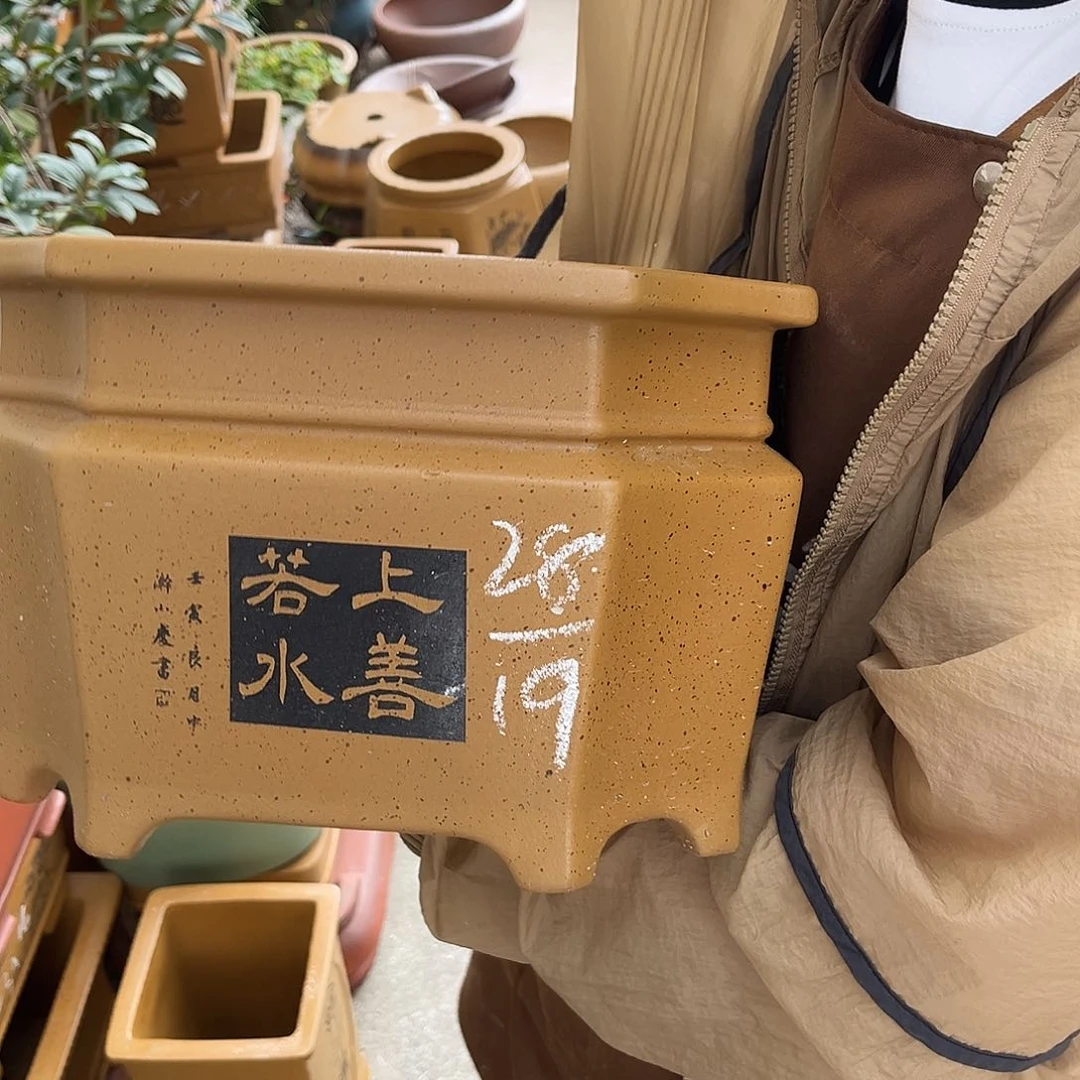 紫砂花盆盆景艺术