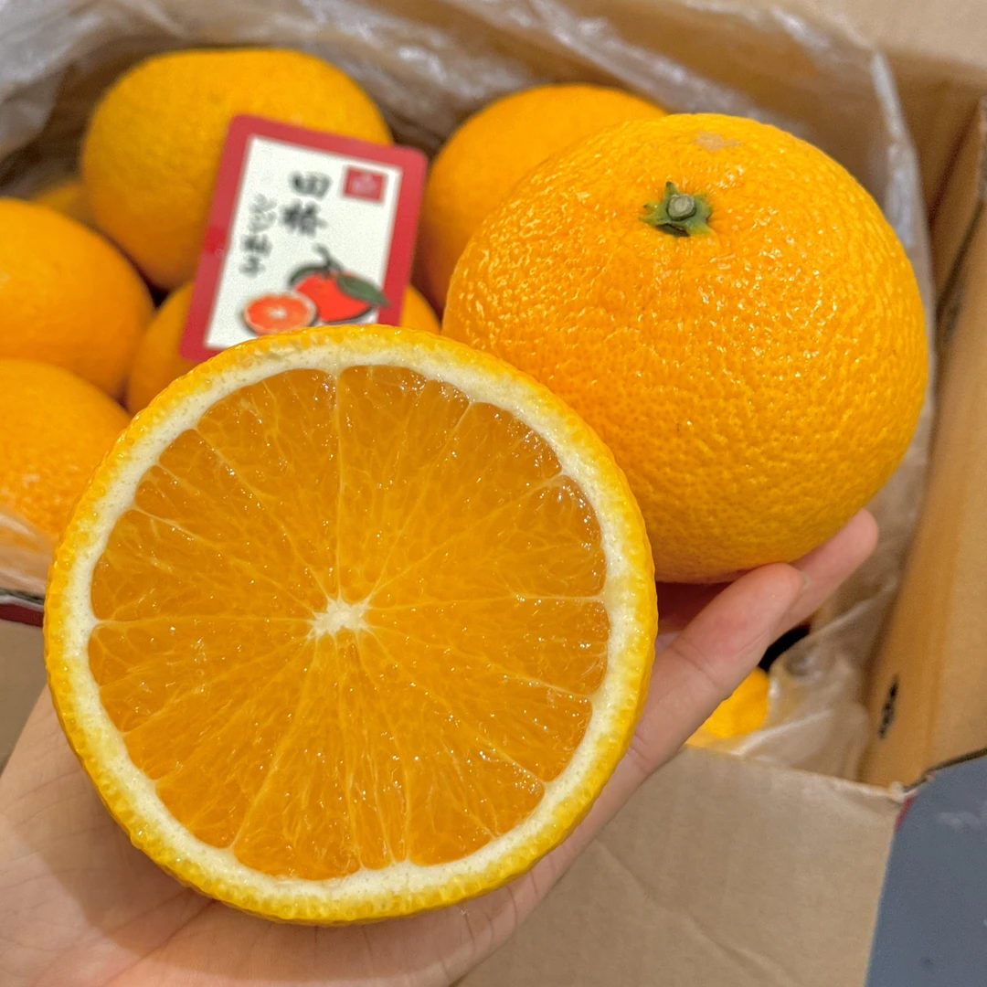 森叔源选 当季限定甜橘柚新品种4/8斤【顺丰包邮】