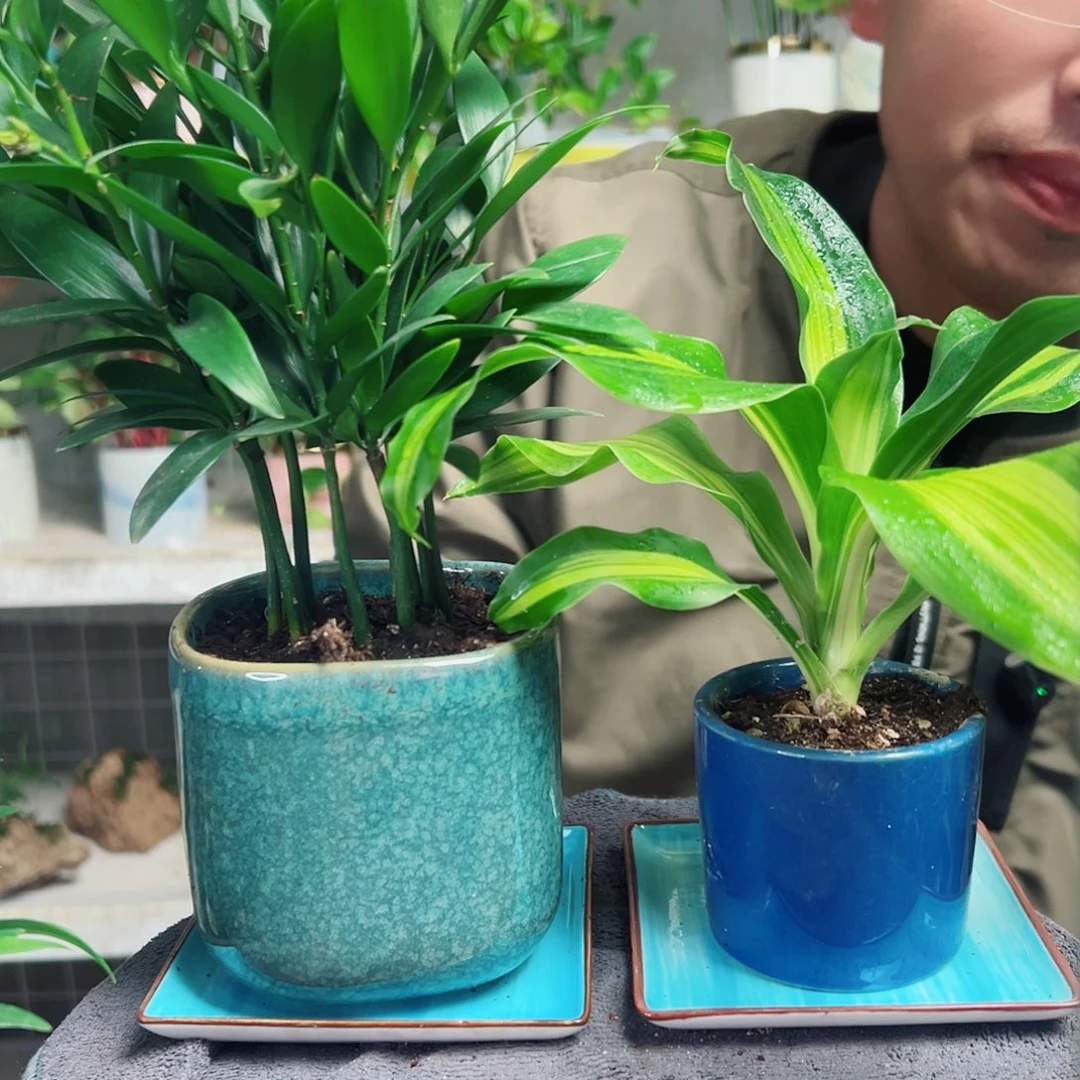 北***心无花朵6