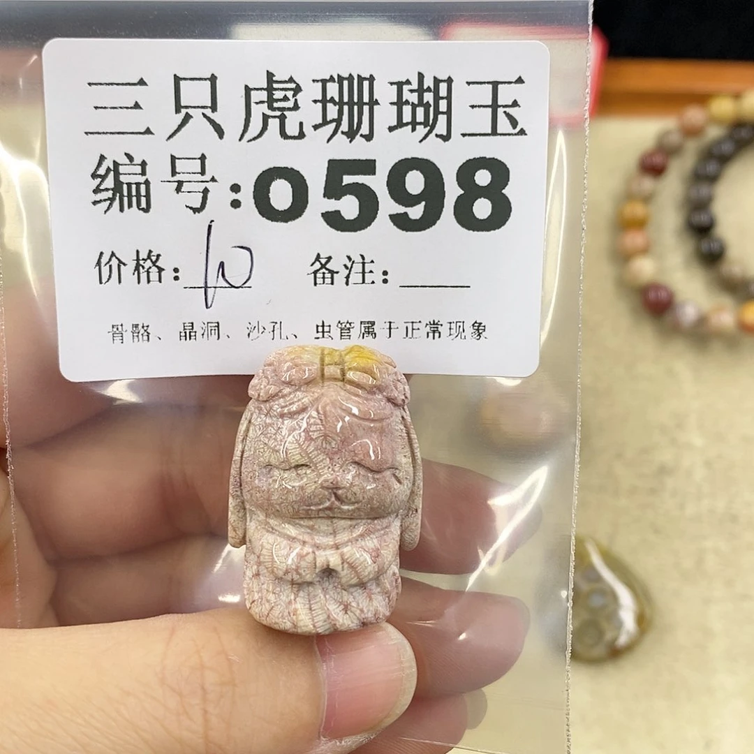 硅化珊瑚（珊瑚玉）1未镶嵌?****?