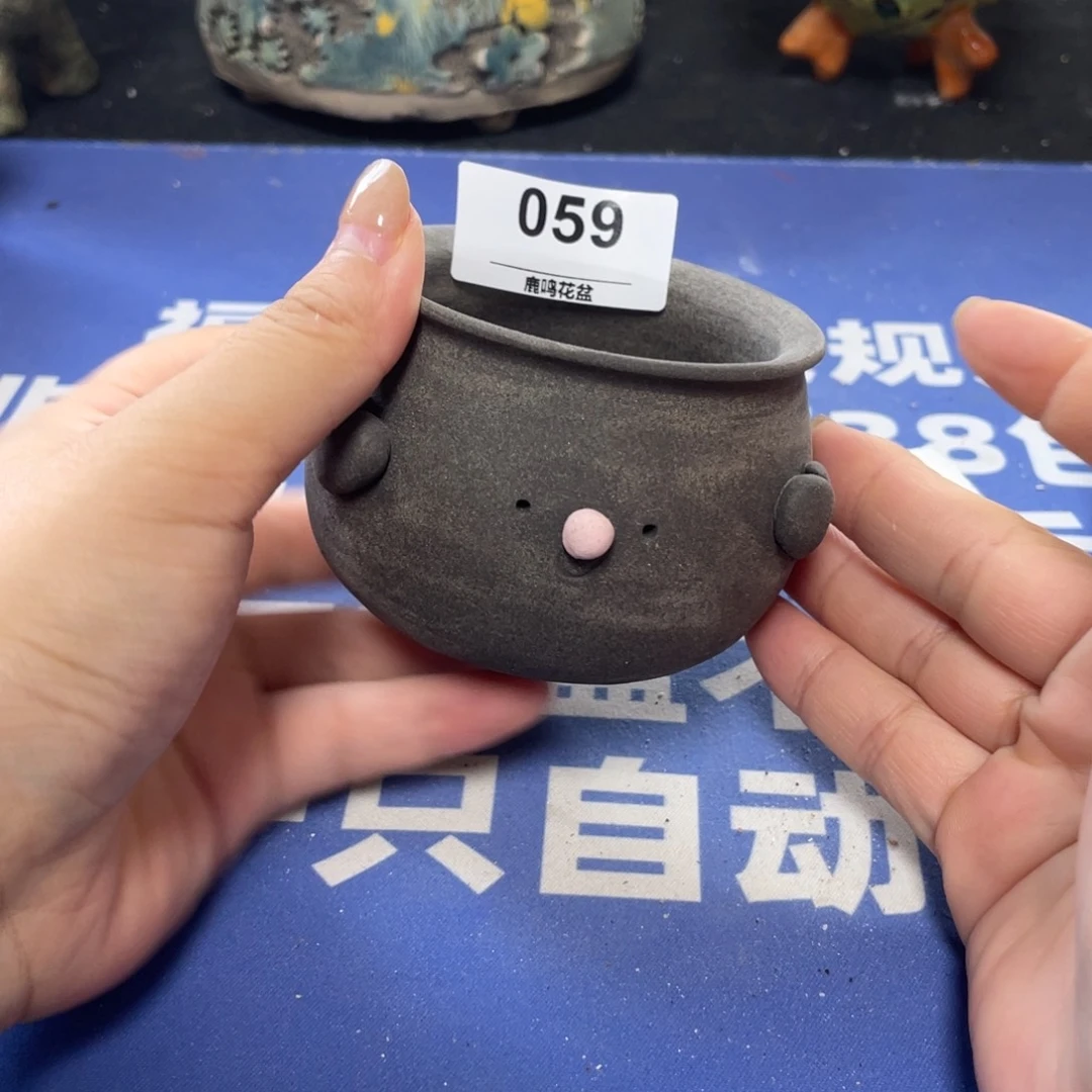 特价微瑕疵不退不换哦59
