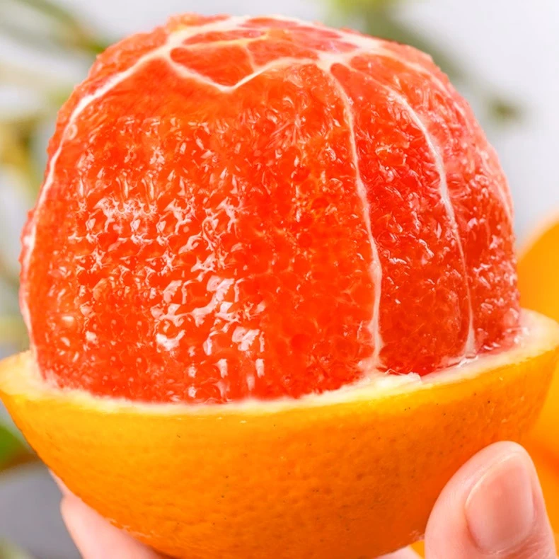 秭归脐橙 · 中华红橙5斤 基地直发 韵达快递