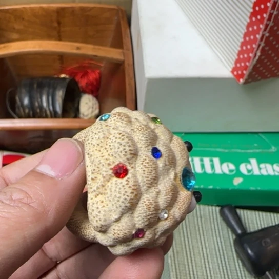 天*如图所示所拍即所得