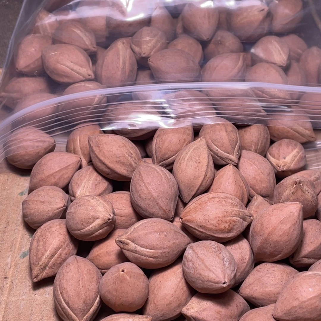 鱼***刺橄榄核手串/手链不退不换qwety