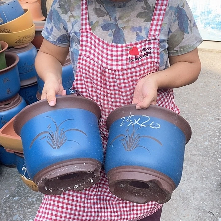 紫砂花盆盆栽花卉苗木基地