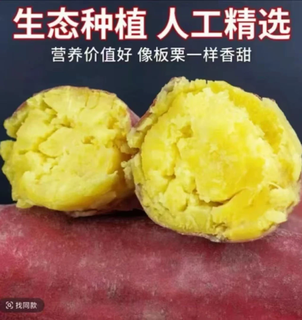 【买3斤送2斤重5斤】正宗板栗红薯蜜薯粉糯香甜饱满皮薄现挖