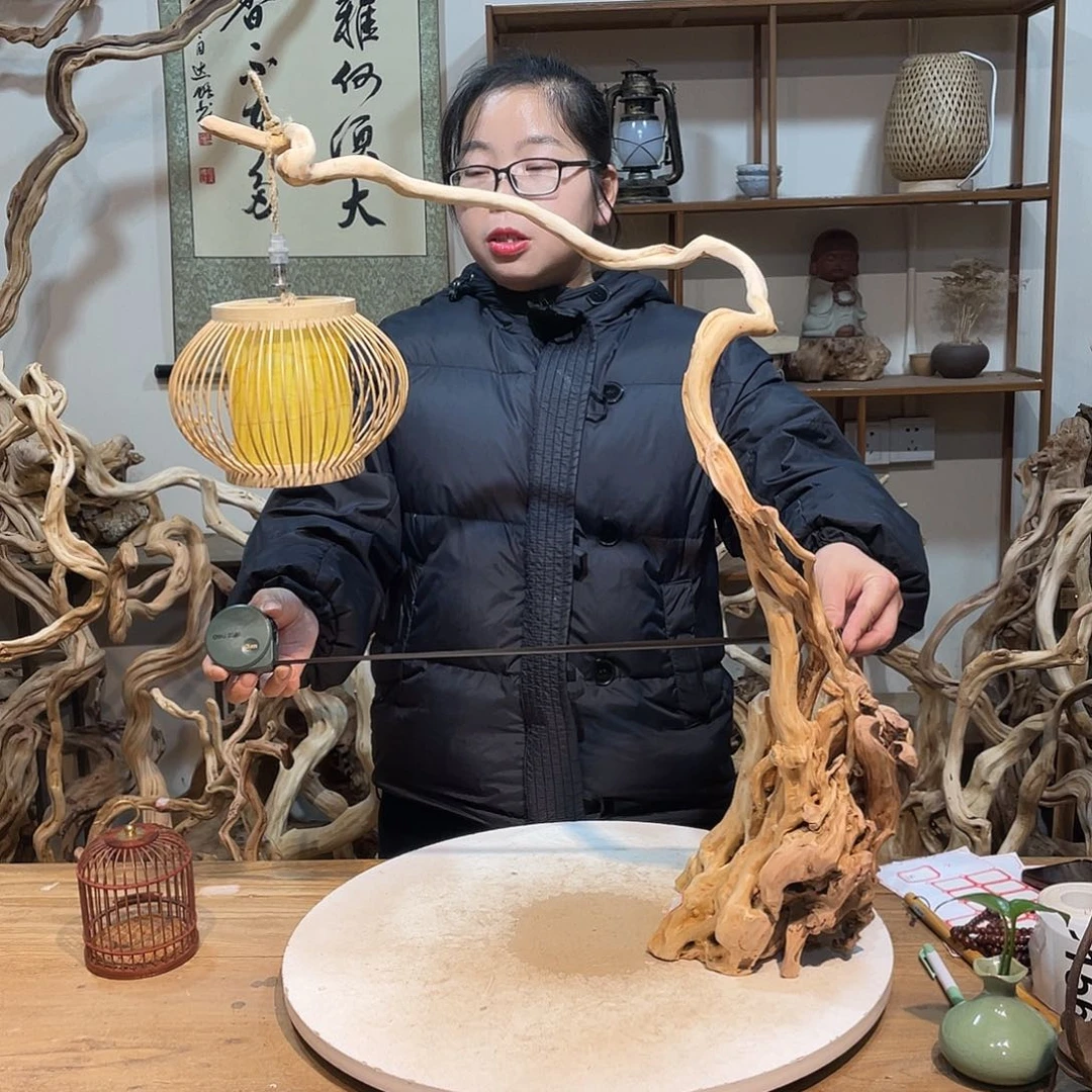 柏木杜鹃根根艺摆件