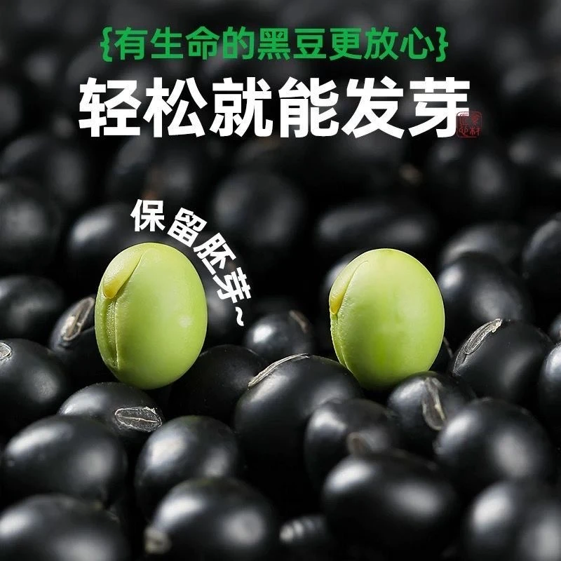 【刘小欠专属】东北黑豆青仁乌五谷杂粮装颗粒优质饱满当季新粮