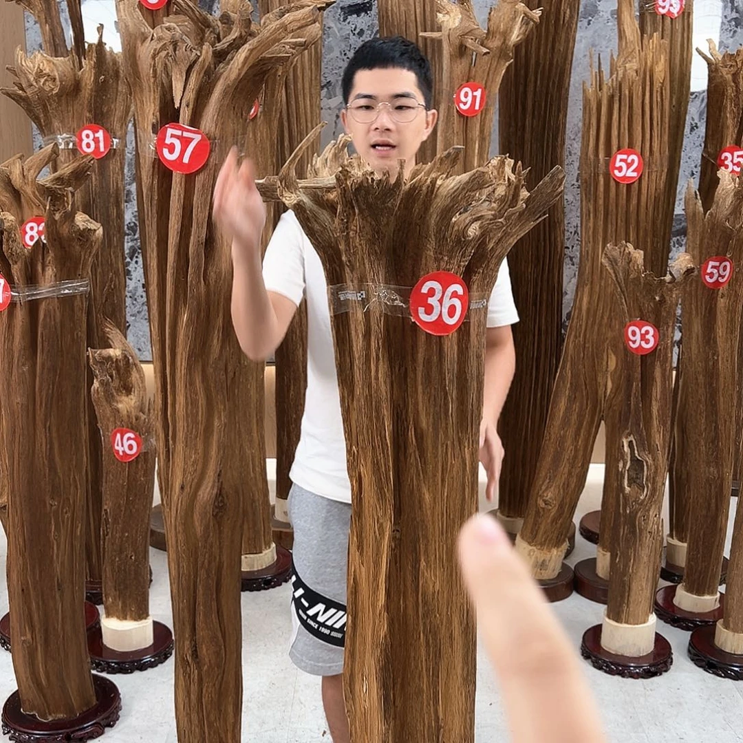 *****沉香碎屑沉香天然沉香