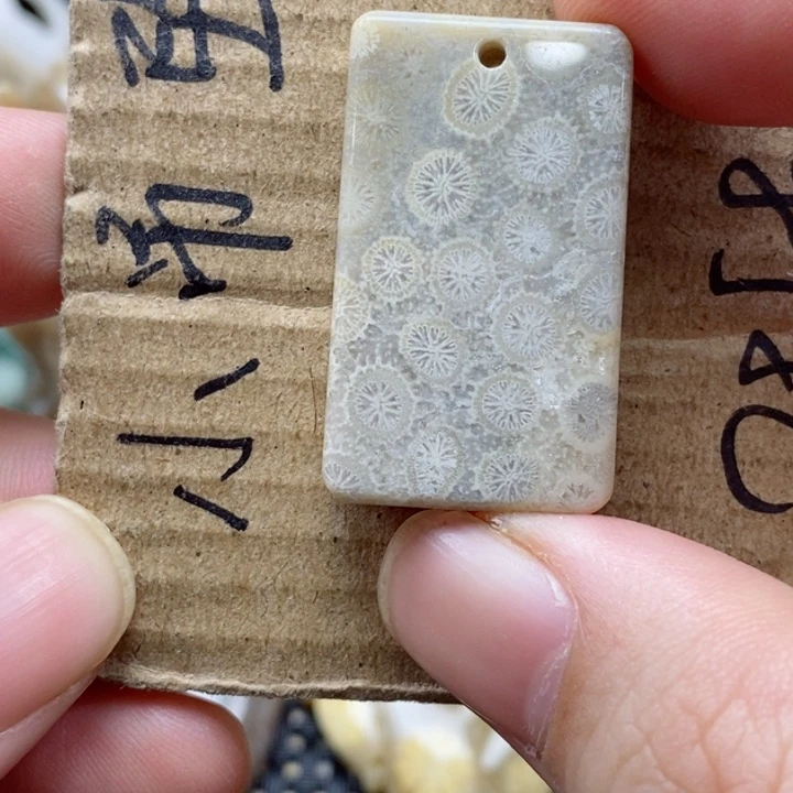 硅化珊瑚（珊瑚玉）颈饰未镶嵌枝*