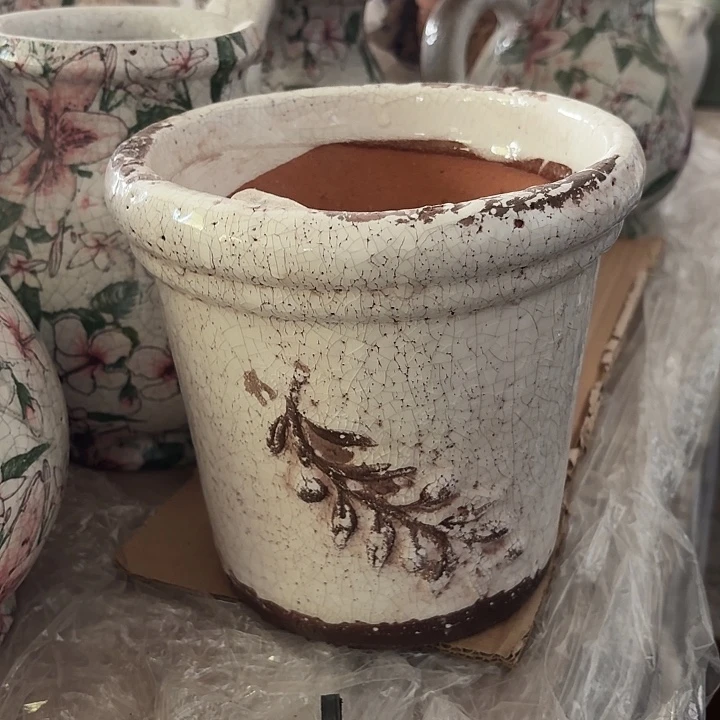 许纯的花房 白色橄榄小号