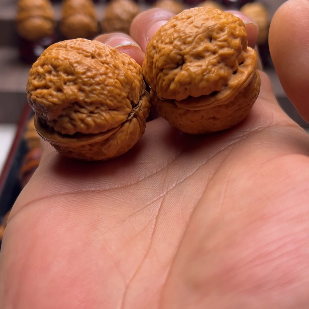 文玩核桃把件元宝蟾1¥