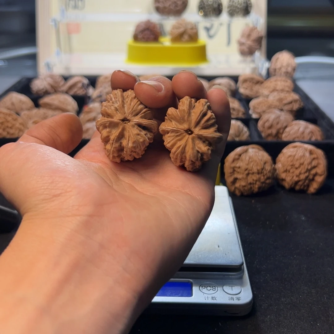 帅*毛文玩核桃文玩手串