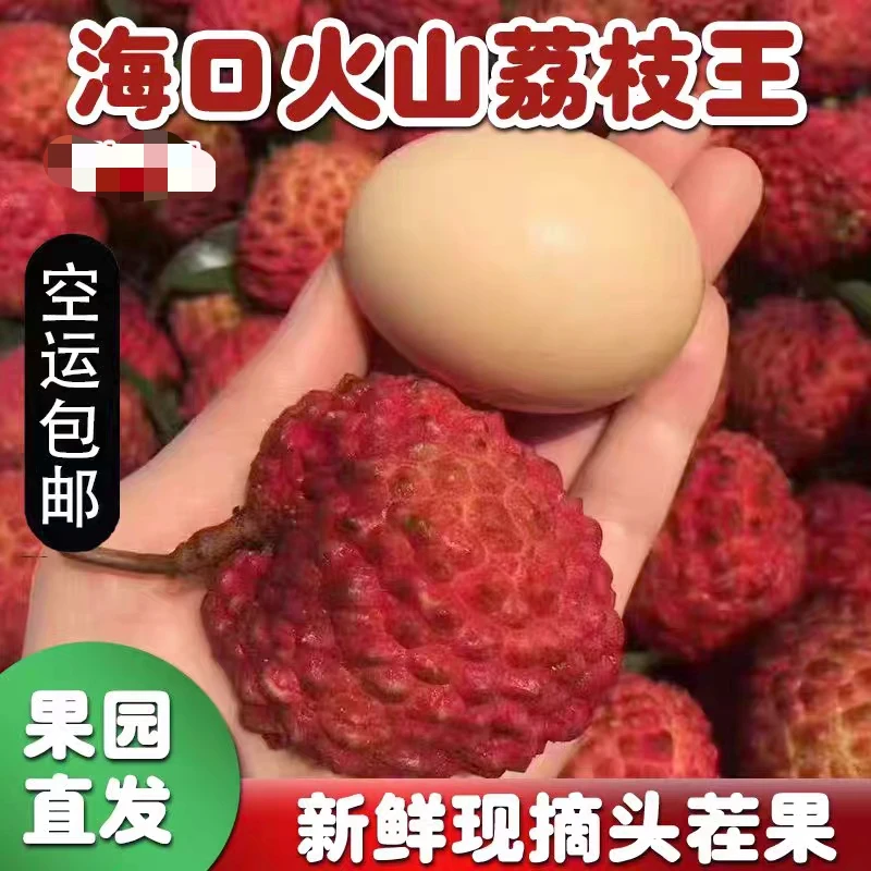 【顺丰/京东空运】海南永兴火山口荔枝王现摘现发当季新鲜水果空运