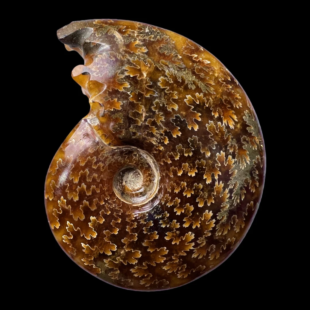 【 叶菊石（手把件）】91mm 玉化 马达加斯加 N-41 创意饰品  B15