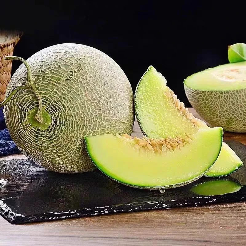 【蓝小甜】山东网纹香瓜4.5斤（单果800-1500g 约2-3个）