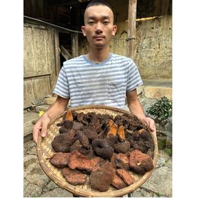 (碧云2)南疆雷达峰【云南双雄干货】---枸杞