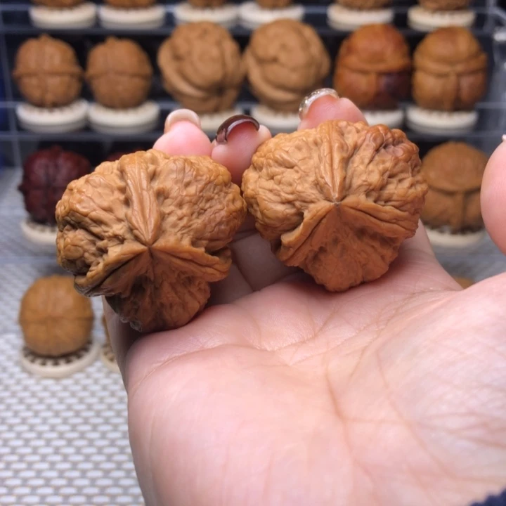 文玩核桃把件40号粗筋小盘石37尺