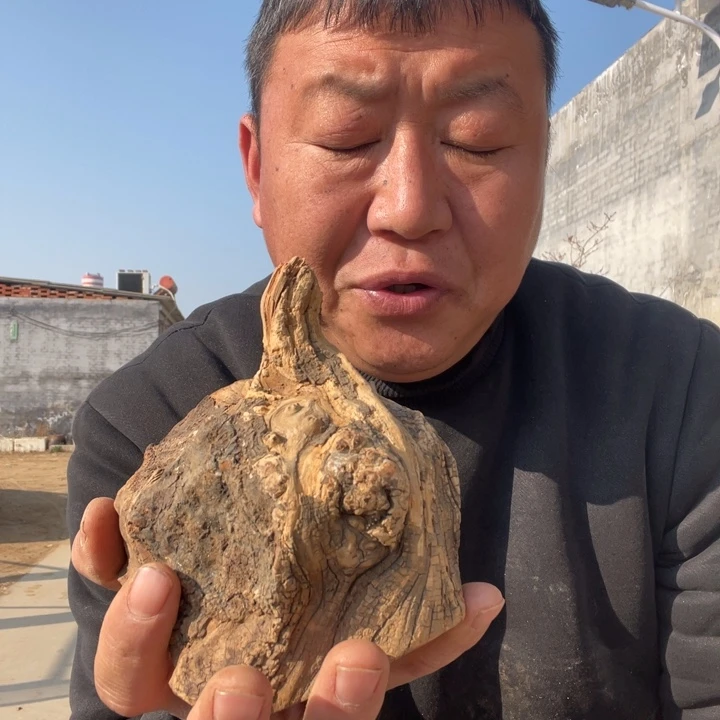 柏木（崖柏）啊啊啊啊啊啊啊啊