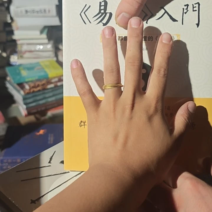 易入门平装库存书全新