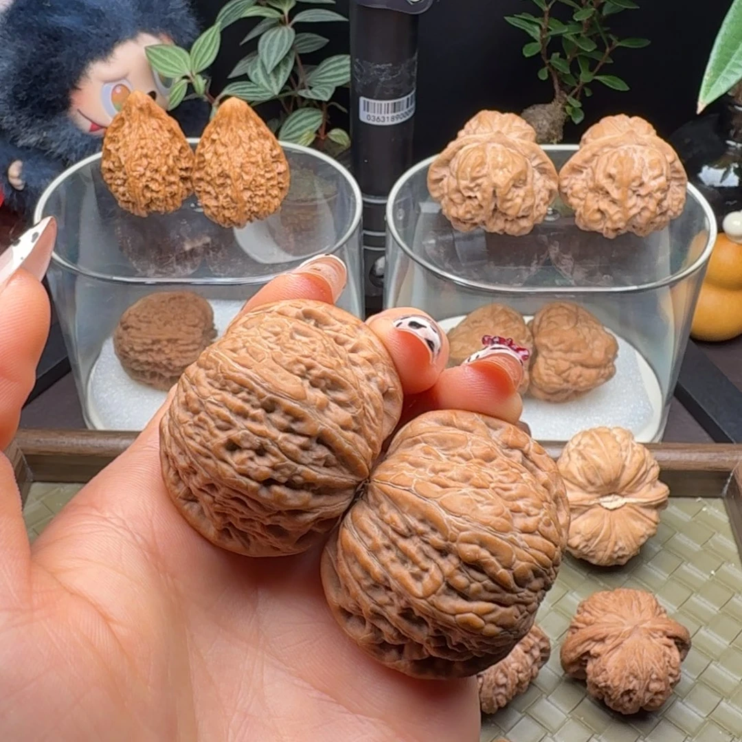 把件龙脊菩提全品铁锤41