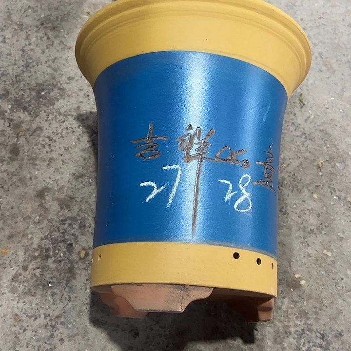 紫砂工艺厂……紫砂工艺厂……