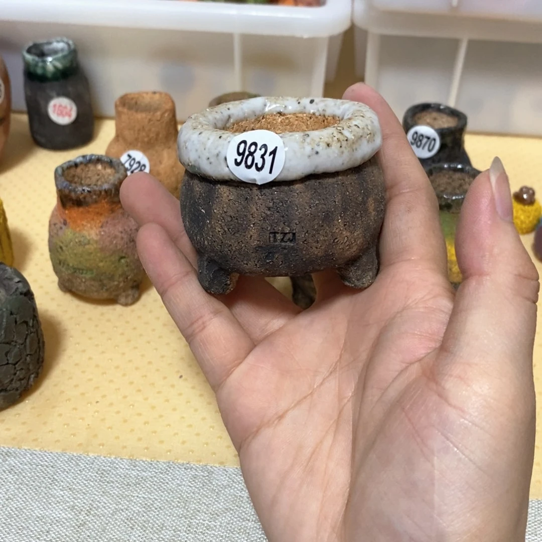 j**h拍3送一个小礼物