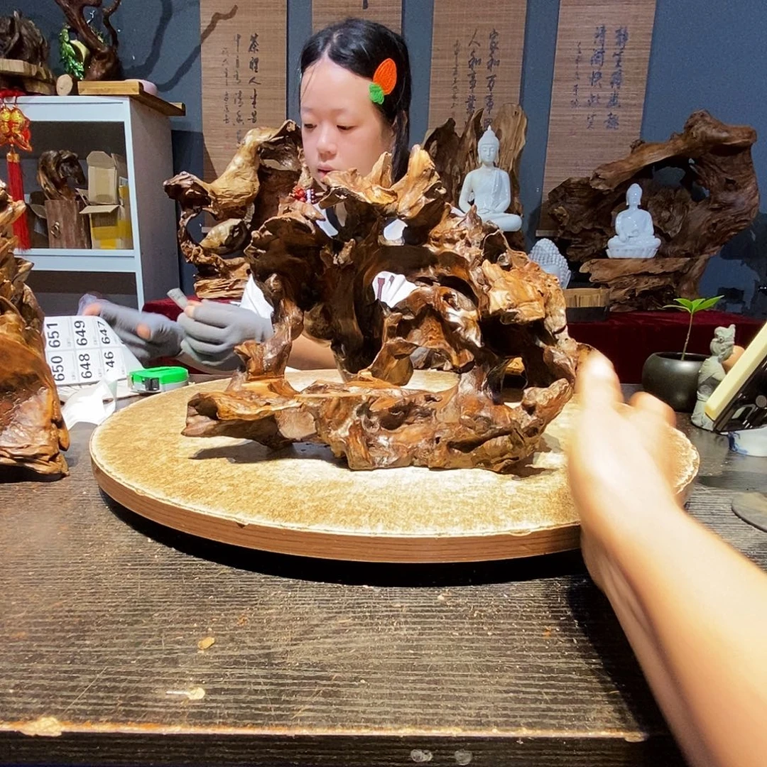 晴***朗644株木随行的小根艺
